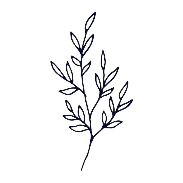 Diseño plano dibujado a mano con un simple contorno de flores sobre fondo blanco
