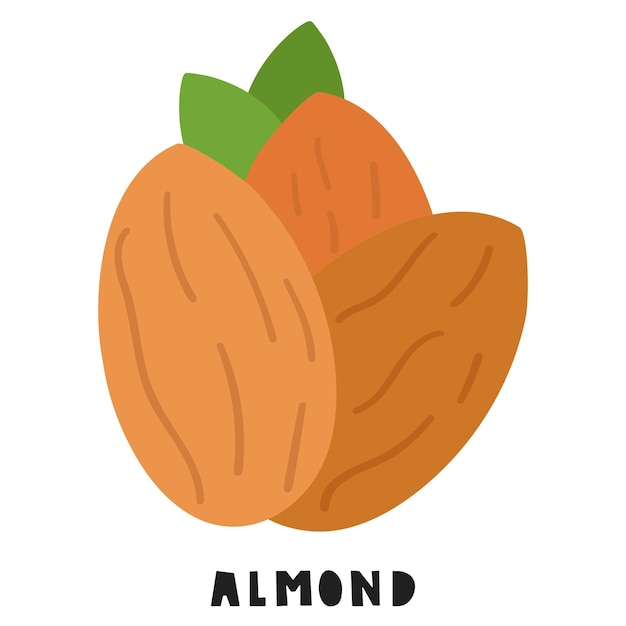 Diseño plano dibujado a mano sobre fondo blanco