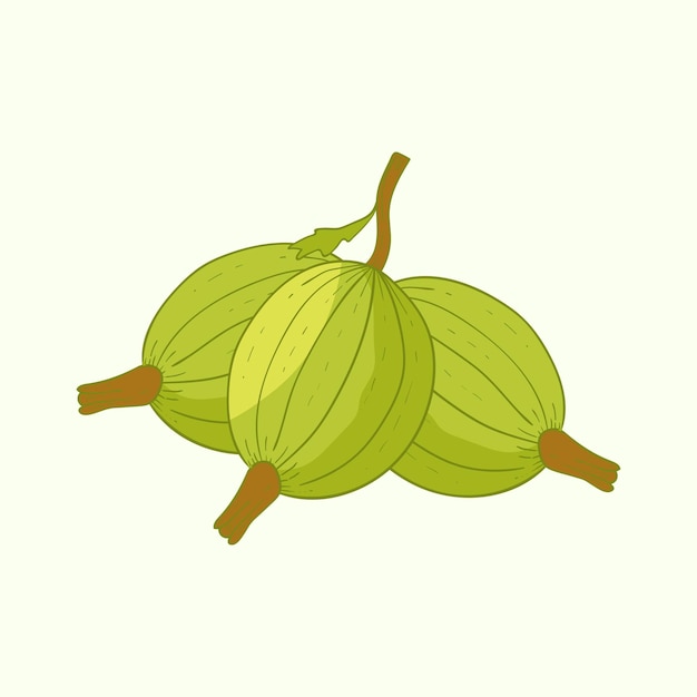 Diseño plano de la fruta de la grosella Ilustración del icono de dibujos animados