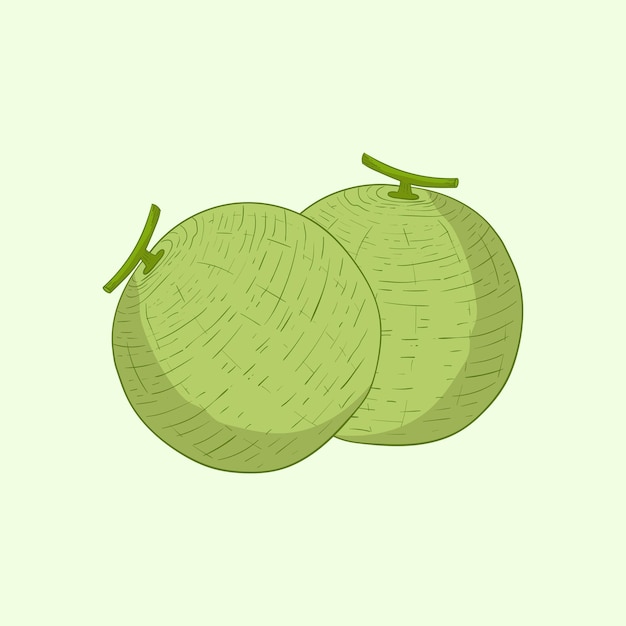 Diseño plano de la fruta del melón Ilustración del icono de dibujos animados