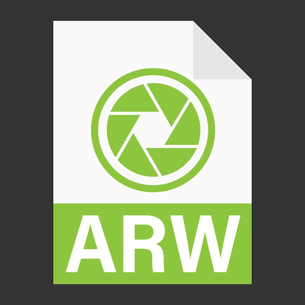 Diseño plano moderno de icono de archivo arw para web