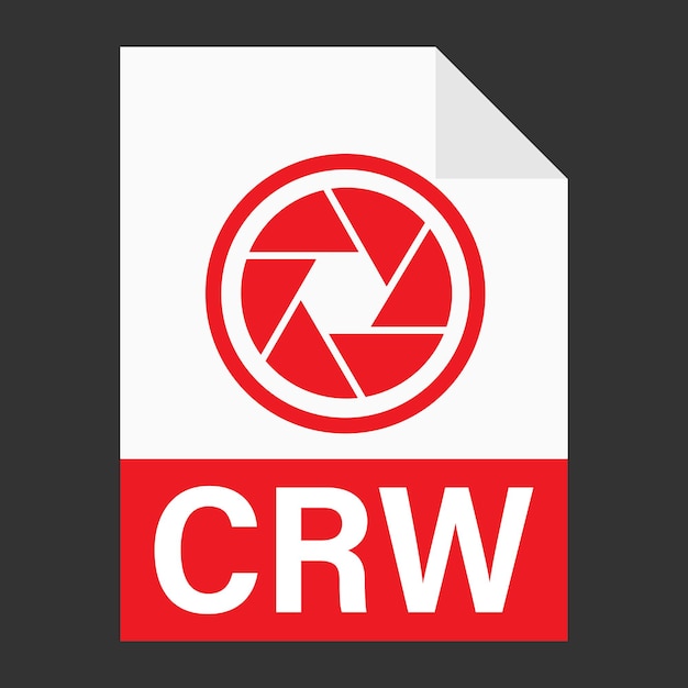 Diseño plano moderno de icono de archivo crw para web