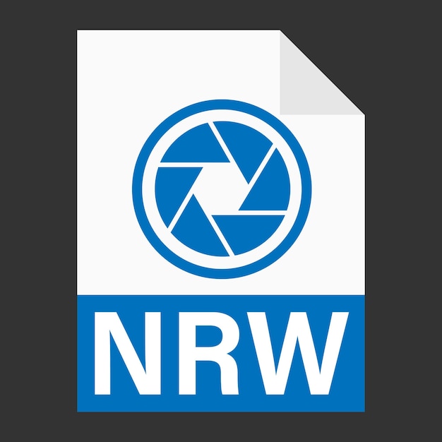 Diseño plano moderno de icono de archivo nrw para web