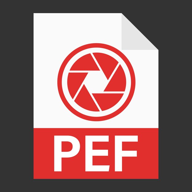 Diseño plano moderno de icono de archivo PEF para web