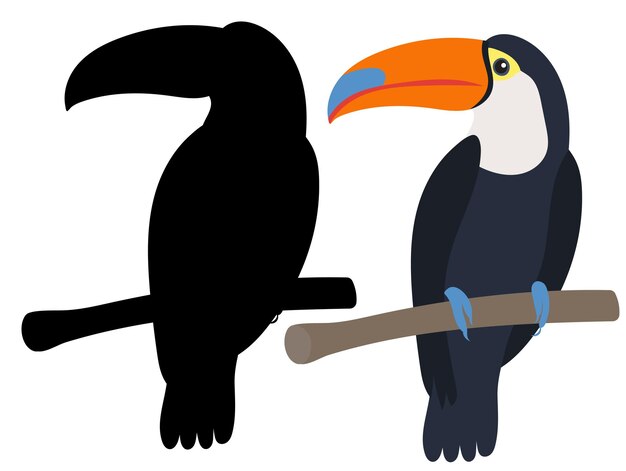 Diseño plano de tucán aislado en vector de fondo blanco