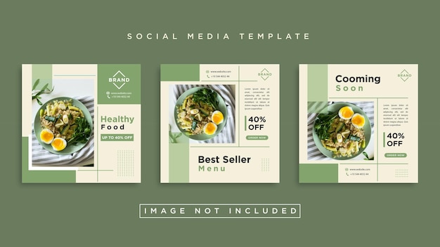 Vector diseño plano vectorial de publicaciones en instagram de alimentos saludables