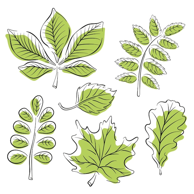 Diseño de plantas sencillas minimalistas de hojas de árboles, logotipo de la naturaleza dibujado a mano
