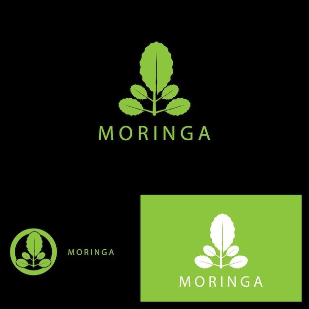 Diseño de plantilla de ilustración de icono vectorial de la hoja de moringa