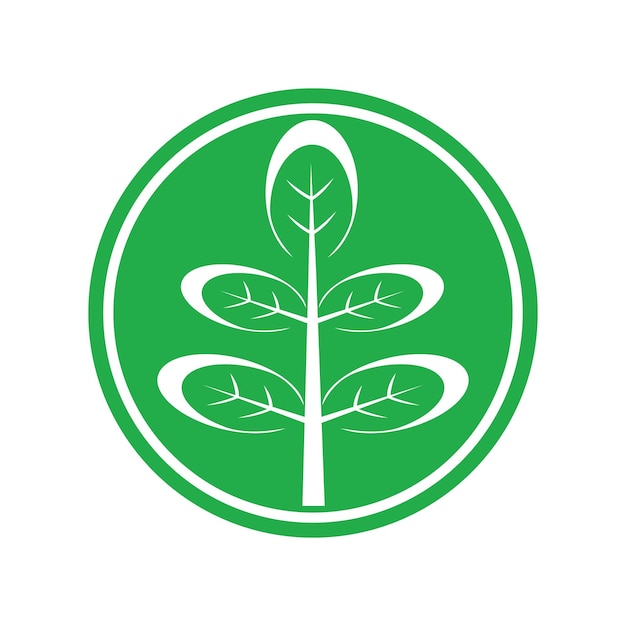 Diseño de plantilla de ilustración de vector de icono de hojas de Moringa