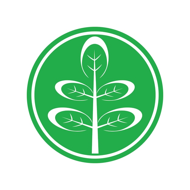 Diseño de plantilla de ilustración de vector de icono de hojas de Moringa