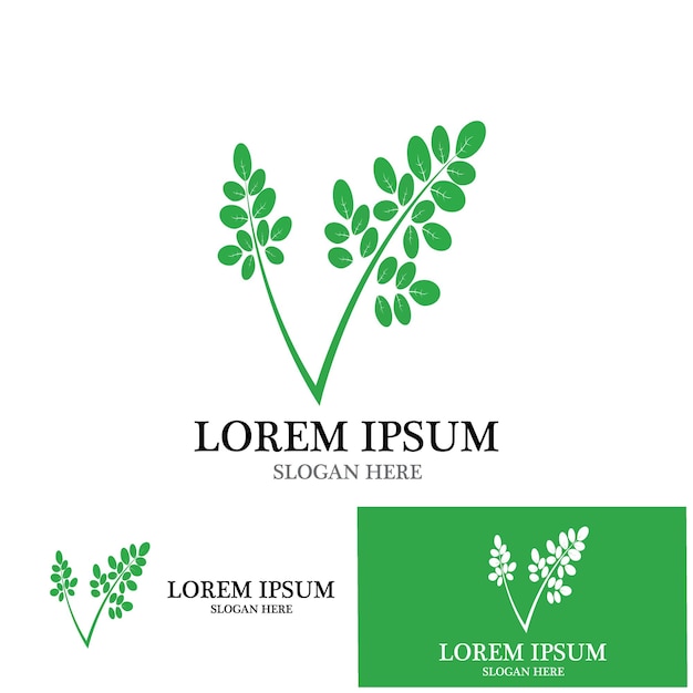 Diseño de plantilla de ilustración de vector de icono de hojas de Moringa