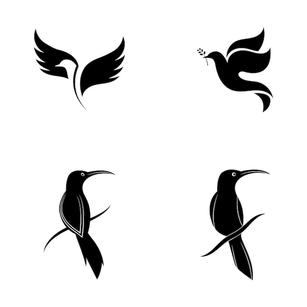 Diseño de plantilla de ilustración de vector de icono de logotipo de pájaro