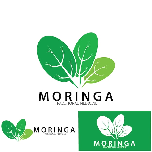 Diseño de plantilla de ilustración de vector de icono de medicina tradicional de hoja de moringa