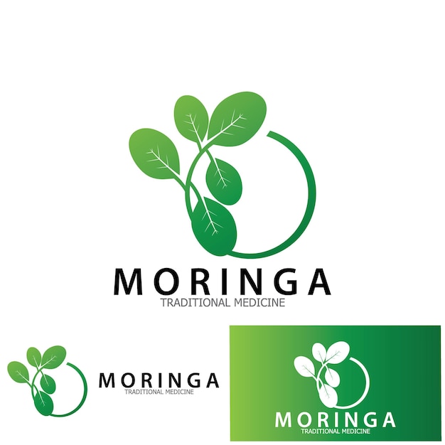 Diseño de plantilla de ilustración de vector de icono de medicina tradicional de hoja de Moringa