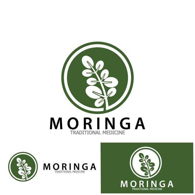 Diseño de plantilla de ilustración de vector de icono de medicina tradicional de hoja de Moringa