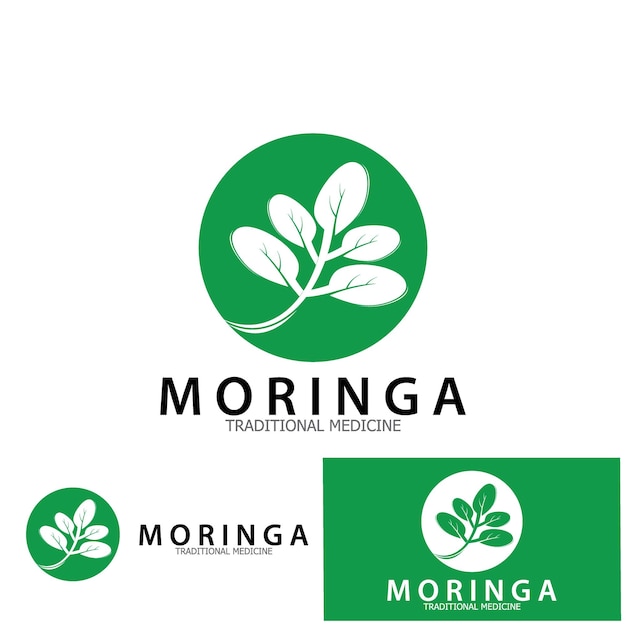 Diseño de plantilla de ilustración de vector de icono de medicina tradicional de hoja de Moringa