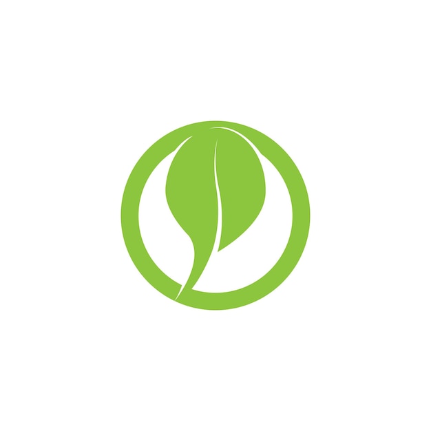 Diseño de plantilla de ilustración de vector de icono de naturaleza de hoja de Moringa