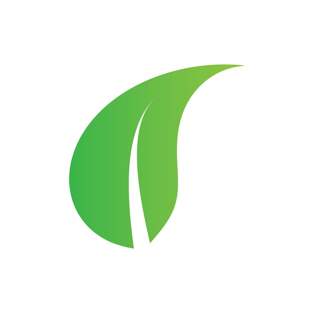Diseño de plantilla de ilustración de vector de icono de naturaleza de hoja