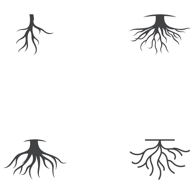 Vector diseño de la plantilla de ilustración del vector raíz