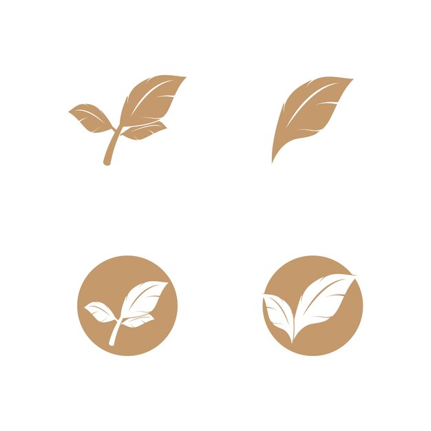 diseño de plantilla de ilustración vectorial del icono del logotipo de la hoja