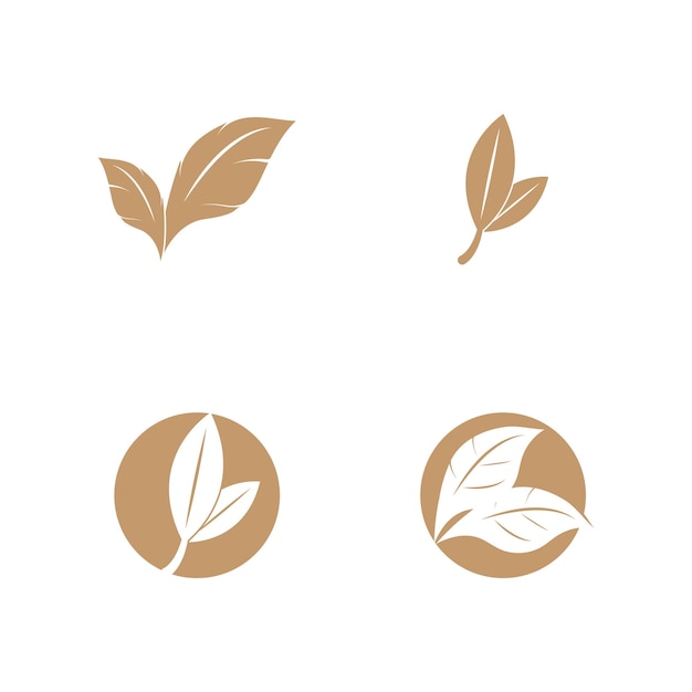 diseño de plantilla de ilustración vectorial del icono del logotipo de la hoja