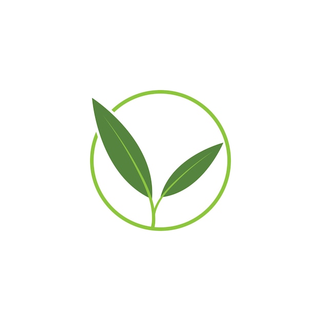 Diseño de plantilla de ilustración vectorial del icono del logotipo de Leaf