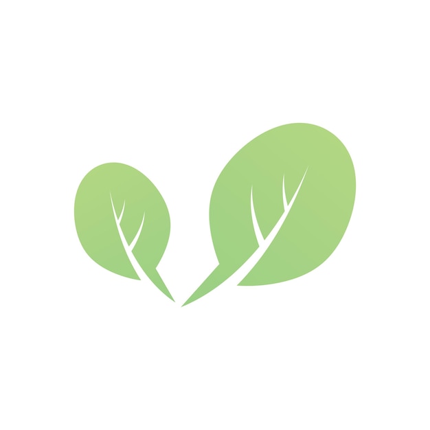 Diseño de plantilla de ilustración vectorial del icono del logotipo de Leaf