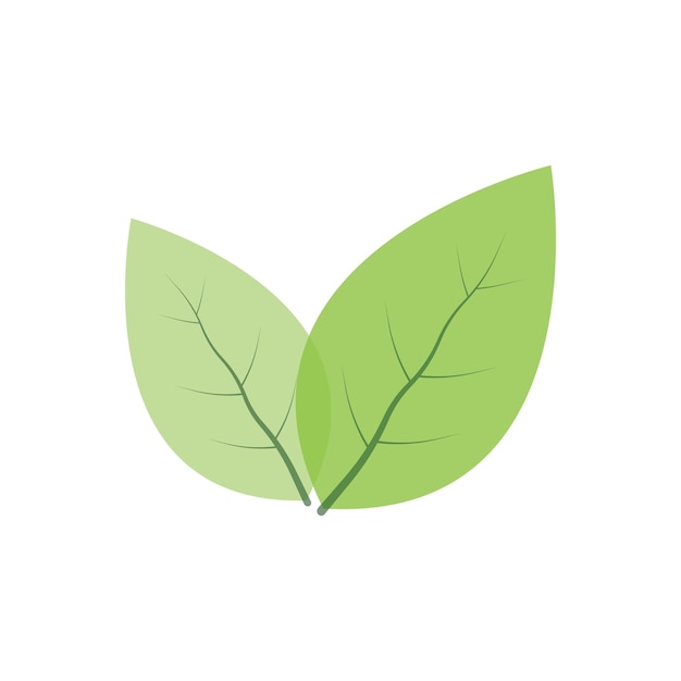 Diseño de plantilla de ilustración vectorial del icono del logotipo de Leaf