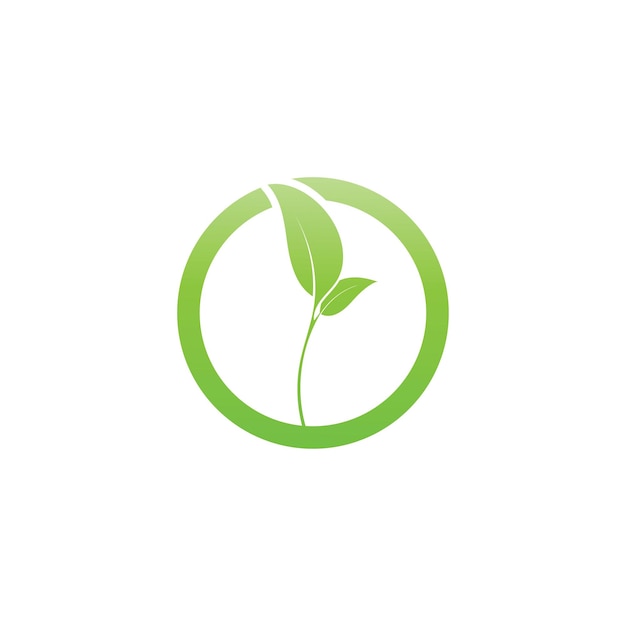 Diseño de plantilla de ilustración vectorial del icono del logotipo de Leaf