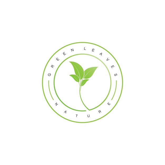 Diseño de plantilla de ilustración vectorial del icono del logotipo de Leaf