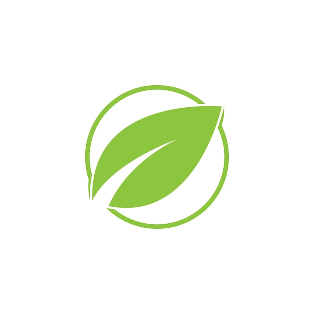 Diseño de plantilla de ilustración vectorial del icono del logotipo de Leaf