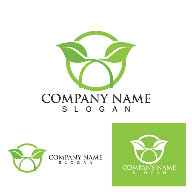 Diseño de plantilla de logotipo de hoja de trébol verde