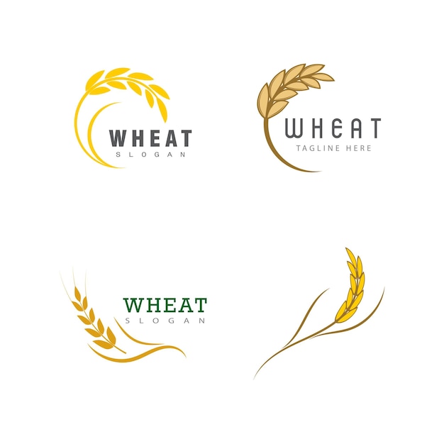 Diseño de la plantilla del símbolo vectorial del logotipo del trigo agrícola