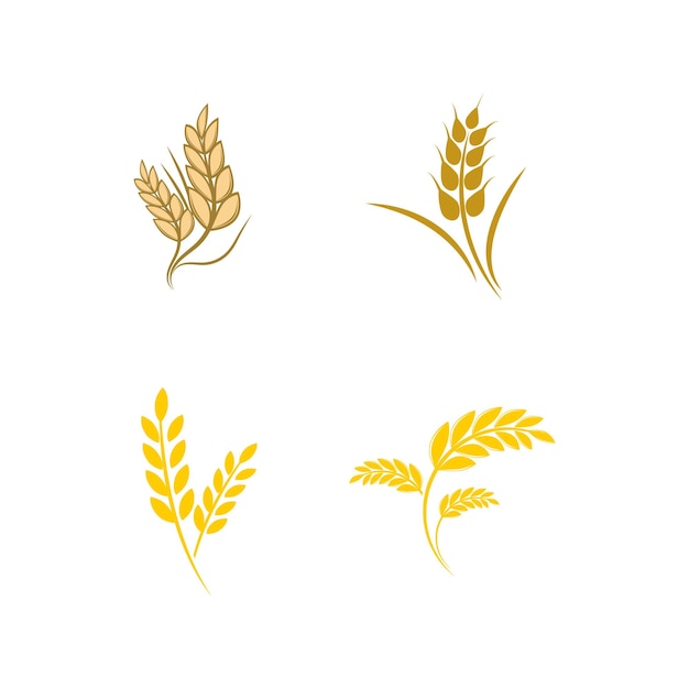 Diseño de la plantilla del símbolo vectorial del logotipo del trigo agrícola