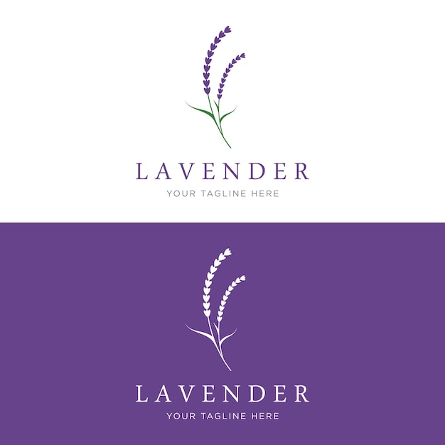 Diseño de plantillas de logotipo de flores orgánicas de lavanda en flor Logotipo para cosméticos belleza botánica perfume y decoración