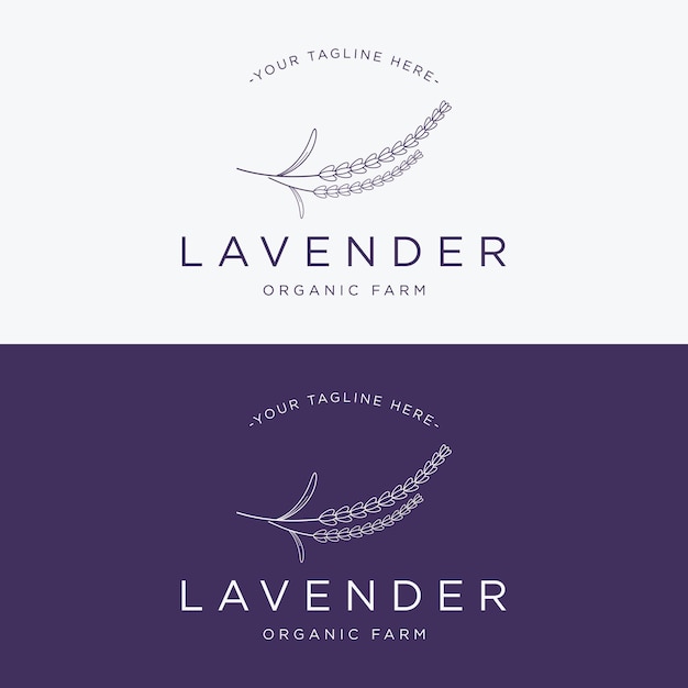 Diseño de plantillas de logotipo de flores orgánicas de lavanda en flor Logotipo para cosméticos belleza botánica perfume y decoración