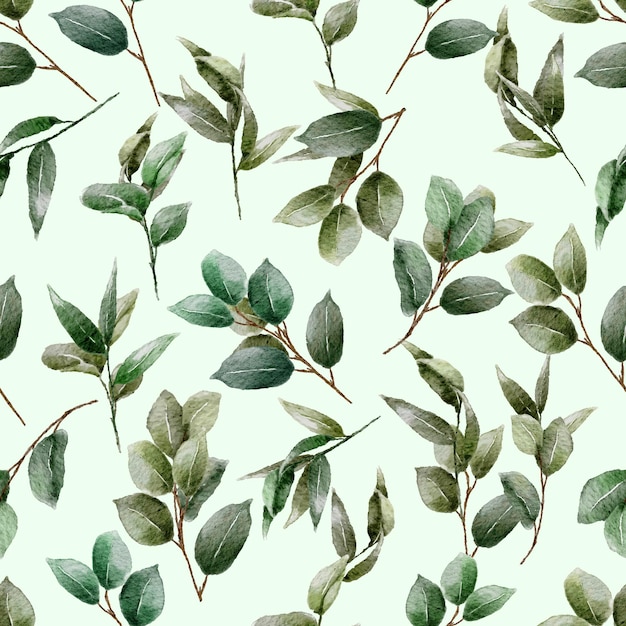 Diseño de plantillas de patrones sin fisuras florales acuarela