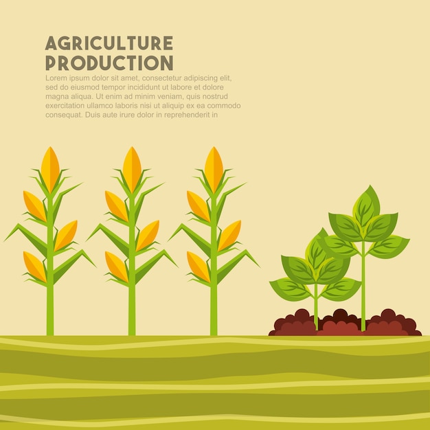 Vector diseño de producción agrícola