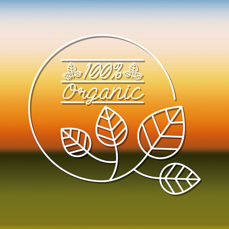 Vector diseño de producto orgánico