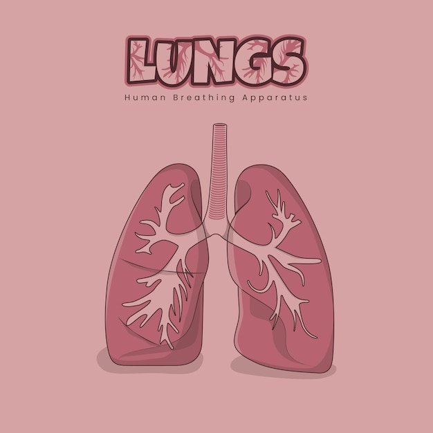 Diseño de pulmones para aparatos de respiración humana en diseño de color rosa.