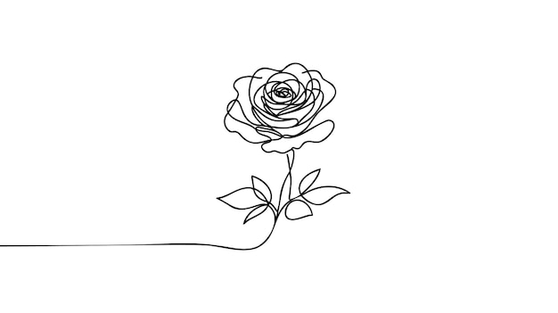 Diseño de rosa de una línea Ilustración de vector de estilo minimalista dibujado a mano