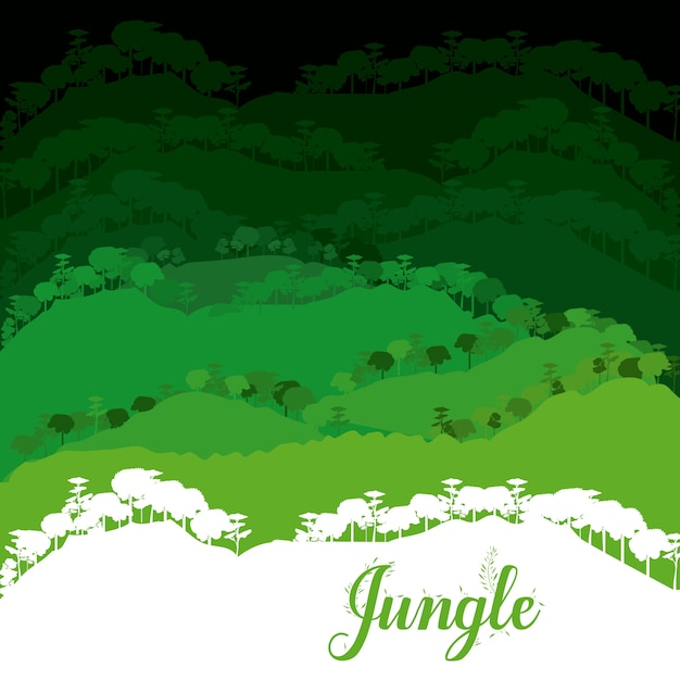 Diseño de la selva
