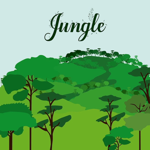 Diseño de la selva