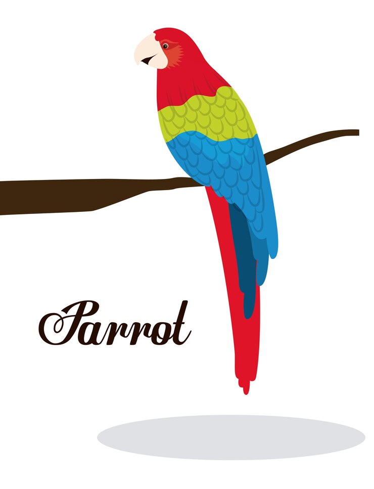 Vector diseño de la selva