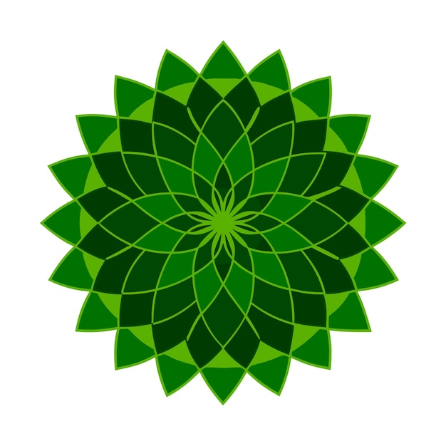 Diseño sencillo de mandala para colorear Mandala floral vectorial