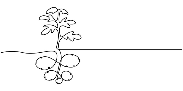 Diseño sencillo de planta de patata en estilo de dibujo de arte de línea continua Cultivo de patatas en el campo