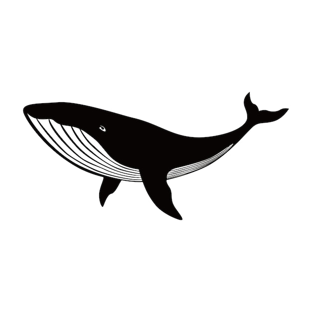 diseño de silueta de ballena jorobada mamífero marino signo y símbolo de animal