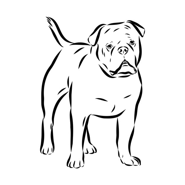 Diseño de la silueta del bulldog de sangre azul de Alapaha