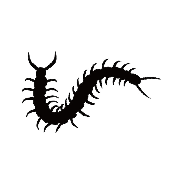 diseño de silueta de ciempiés signo y símbolo de ciampiés