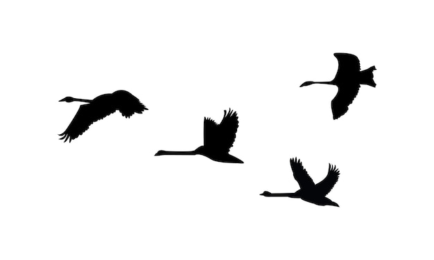 Diseño de silueta de cisne volador e ilustración vectorial